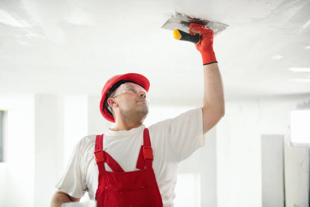 Best Commercial Painting  in Girard, IL